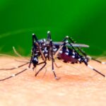 confirmaron seis casos en la Provincia de Buenos Aires